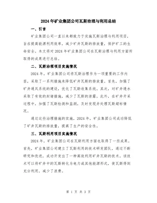 2024年矿业集团公司瓦斯治理与利用总结