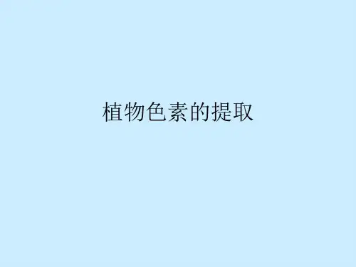 植物色素的提取