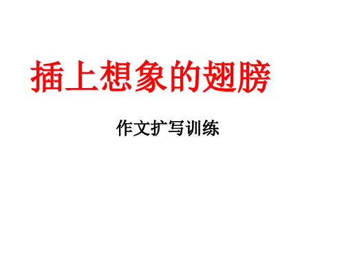 插上想象的翅膀：作文扩写训练