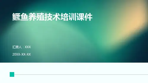 鳜鱼养殖技术培训课件
