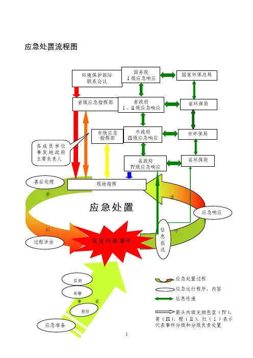 应急处置流程图