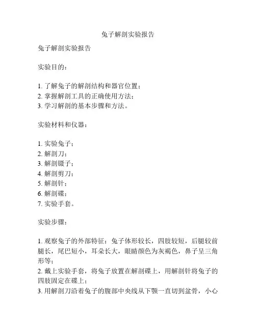 兔子解剖实验报告