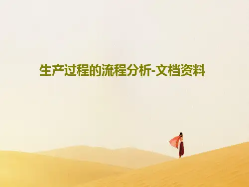 生产过程的流程分析-文档资料PPT39页