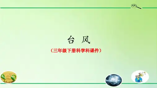 台风(三年级下册科学科课件)