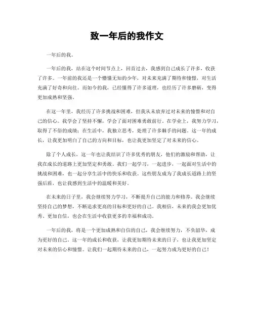 致一年后的我作文