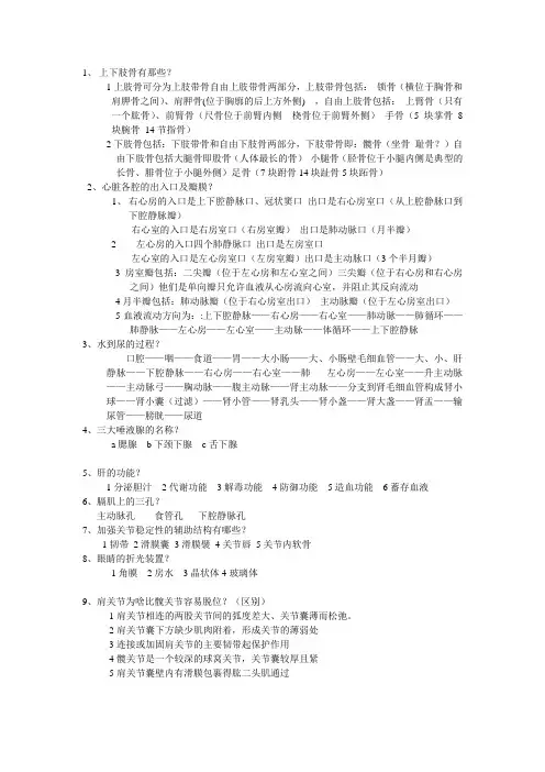 运动解剖学