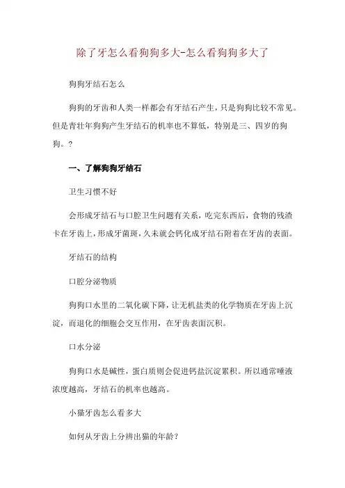 除了牙怎么看狗狗多大-怎么看狗狗多大了