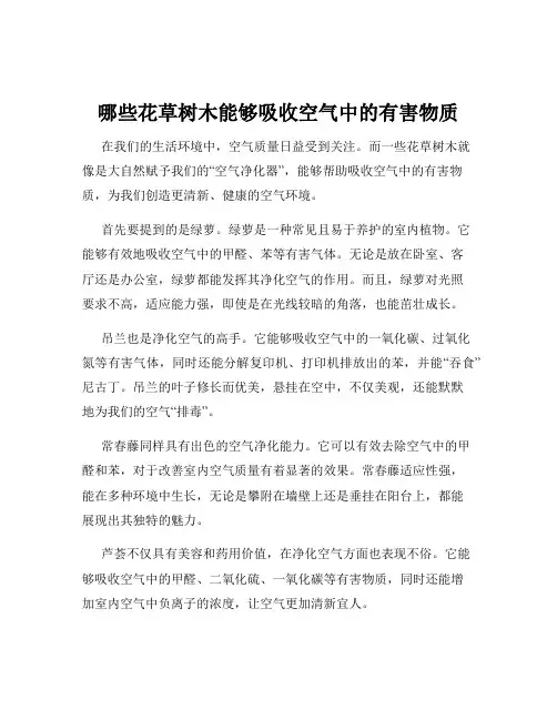 哪些花草树木能够吸收空气中的有害物质