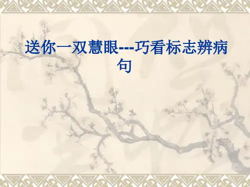 最新巧看标志辨病句病句专题PPT课件