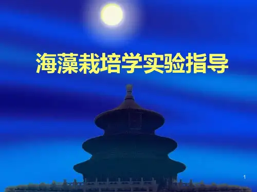 海藻栽培PPT课件