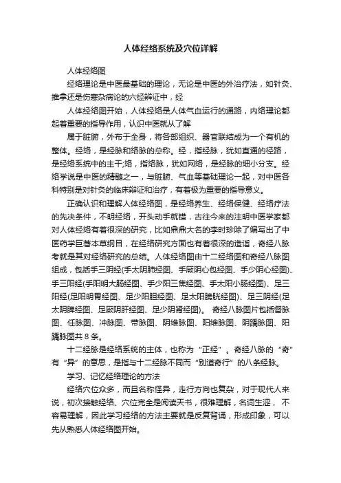 人体经络系统及穴位详解