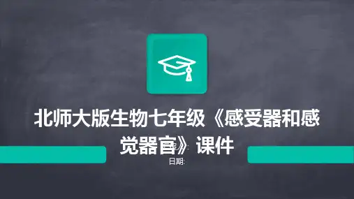 北师大版生物七年级《感受器和感觉器官》课件