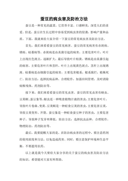 蚕豆的病虫害及防治方法