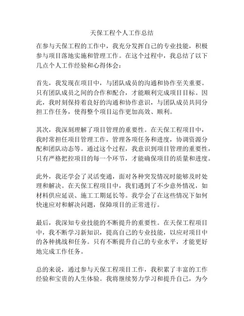 天保工程个人工作总结