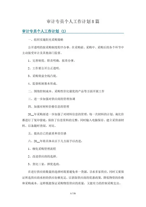 审计专员个人工作计划8篇