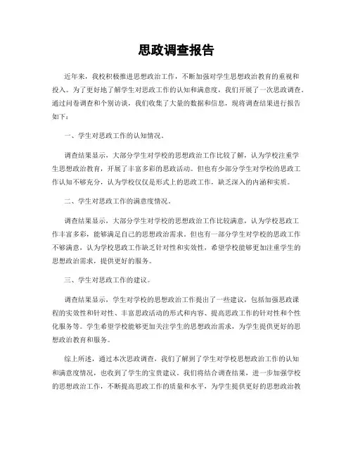 思政调查报告