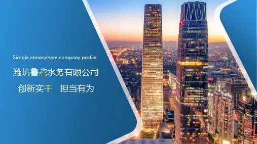 水务集团公司介绍