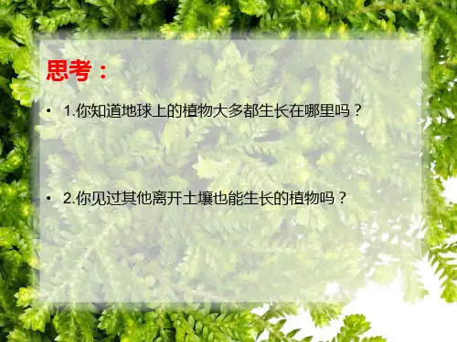 人教版初中生物七年级上 3.2 科学 技术 社会 无土栽培 课件  (共27张PPT)
