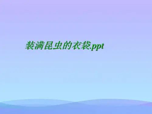 装满昆虫的衣袋.ppt.2021优秀PPT文档