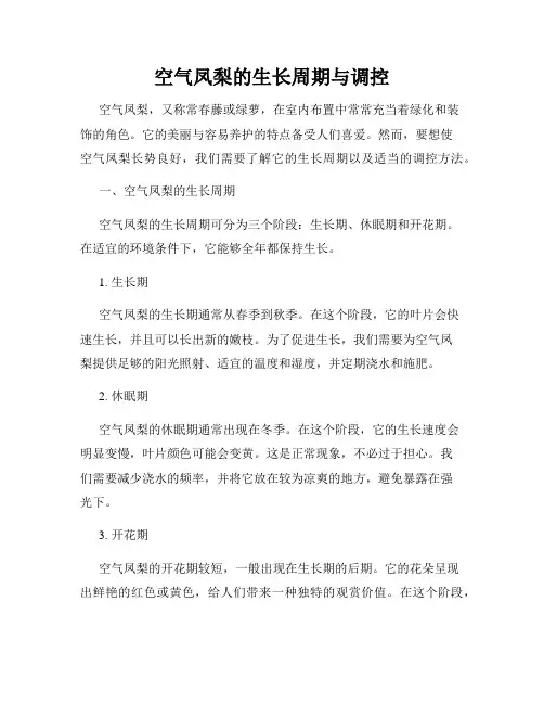 空气凤梨的生长周期与调控
