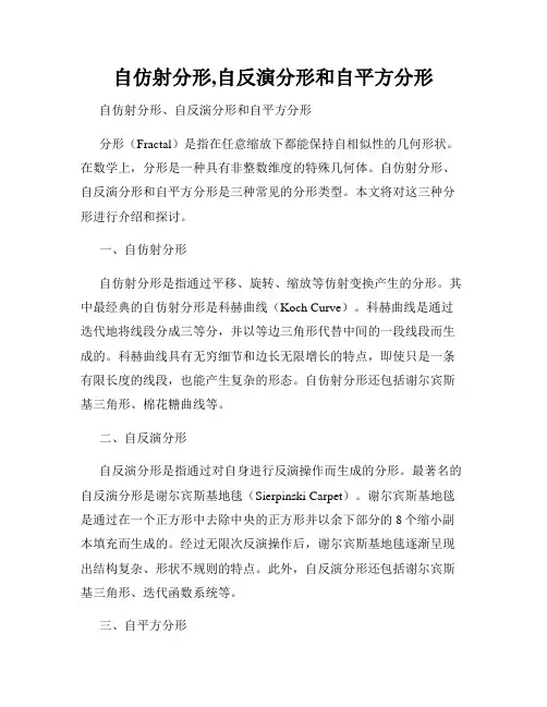 自仿射分形,自反演分形和自平方分形