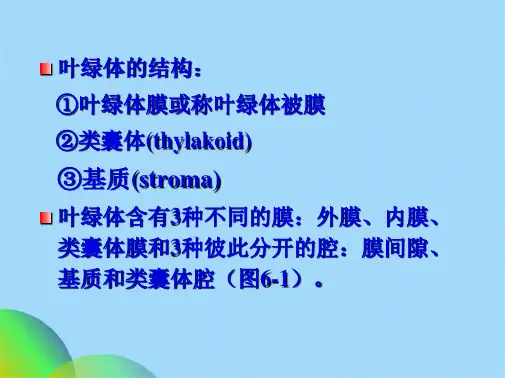 细胞的能量转换线粒体与叶绿体(共46张PPT)