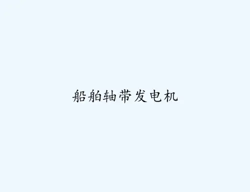 船舶轴带发电机