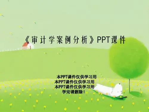 《审计学案例分析》PPT课件