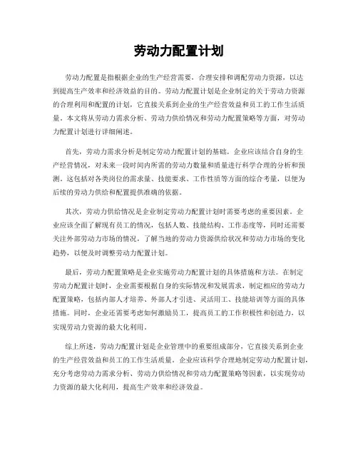 劳动力配置计划