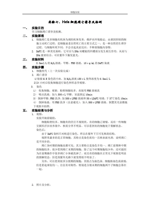 细胞凋亡实验报告