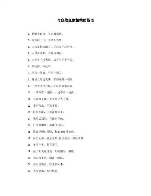 与自然现象相关的俗语