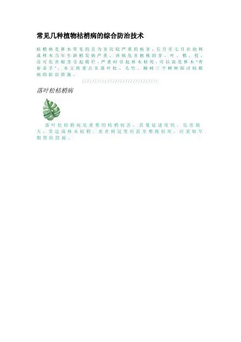 常见几种植物枯梢病的综合防治技术