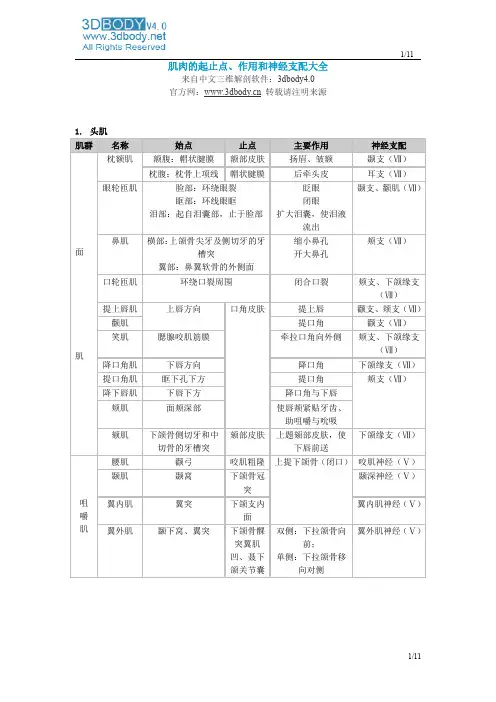 肌肉起止点_作用_神经支配说明大全