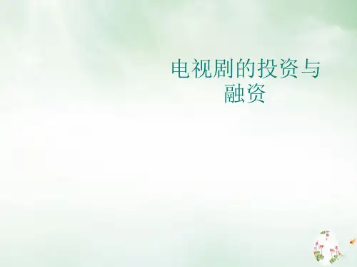 电视剧的投资与融资培训课件(ppt64页)