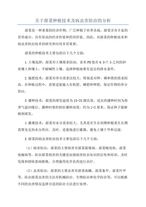 关于甜菜种植技术及病虫害防治的分析