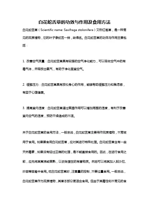 白花蛇舌草的功效与作用及食用方法