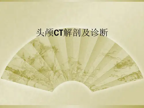 头颅CT解剖及诊断