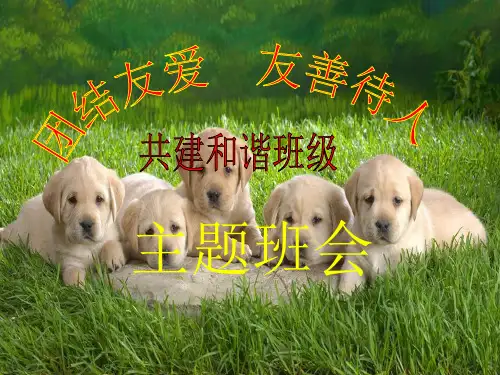 友善待人-和谐共处主题班会
