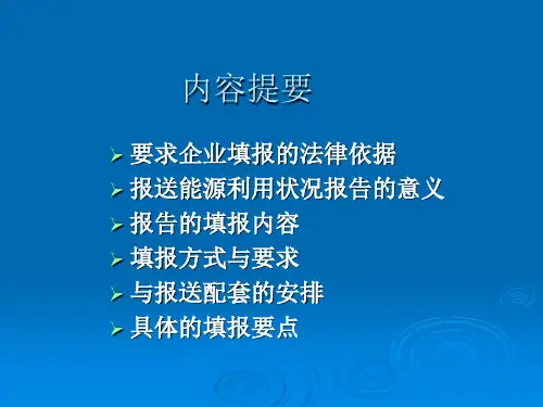 企业能源利用状况报告填报