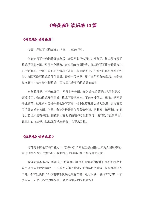2024年《梅花魂》读后感10篇