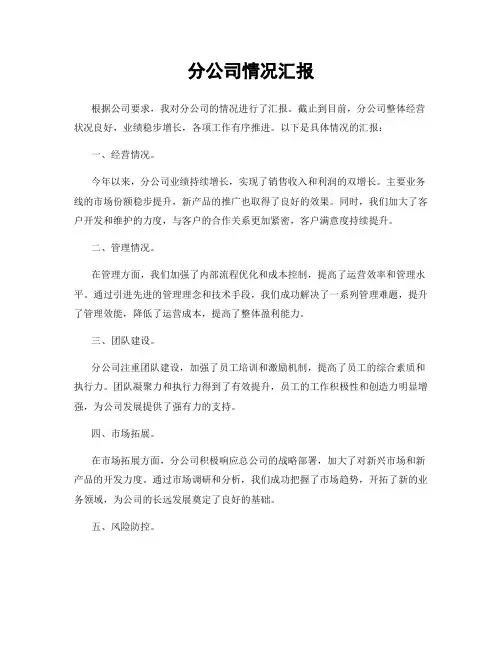 分公司情况汇报