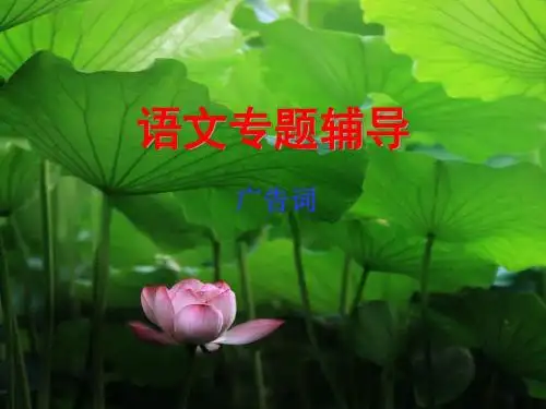 高考复习语文专题辅导广告词 PPT课件
