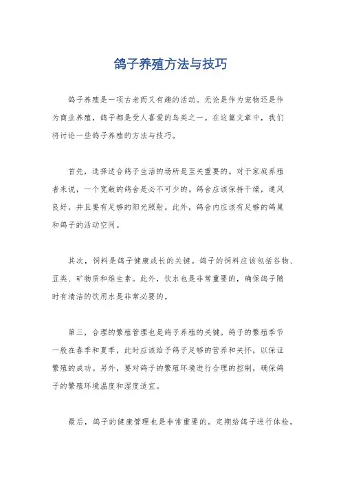 鸽子养殖方法与技巧