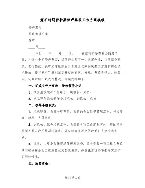 煤矿特别防护期停产整改工作方案模板(2篇)