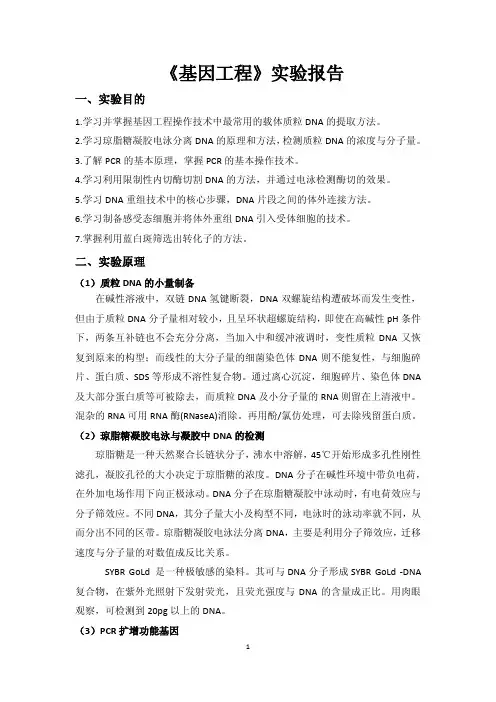 基因工程实验报告 4 1  最终版