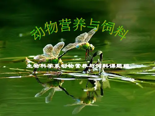 第四单元饲料配方设计与配合饲料1.ppt