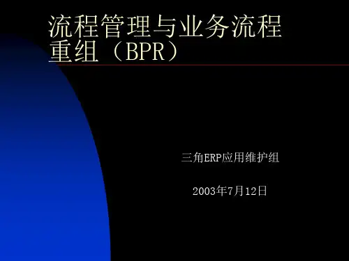 流程管理与BPR业务流程重组(ppt33页).pptx