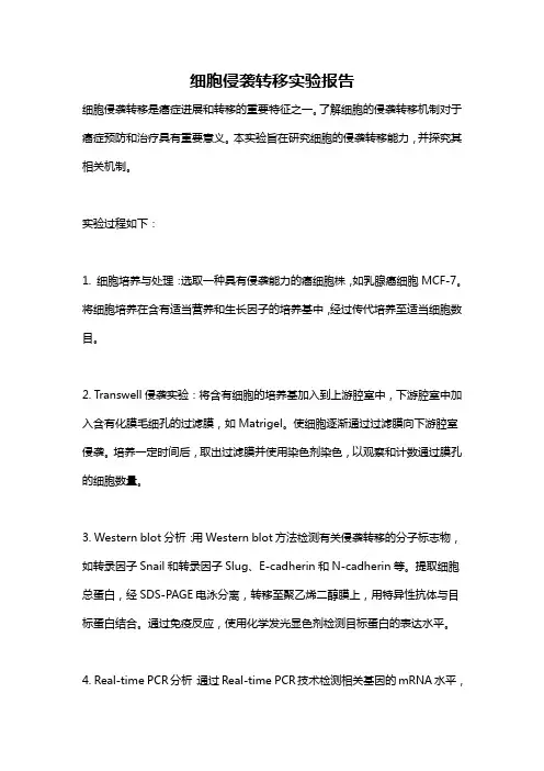 细胞侵袭转移实验报告