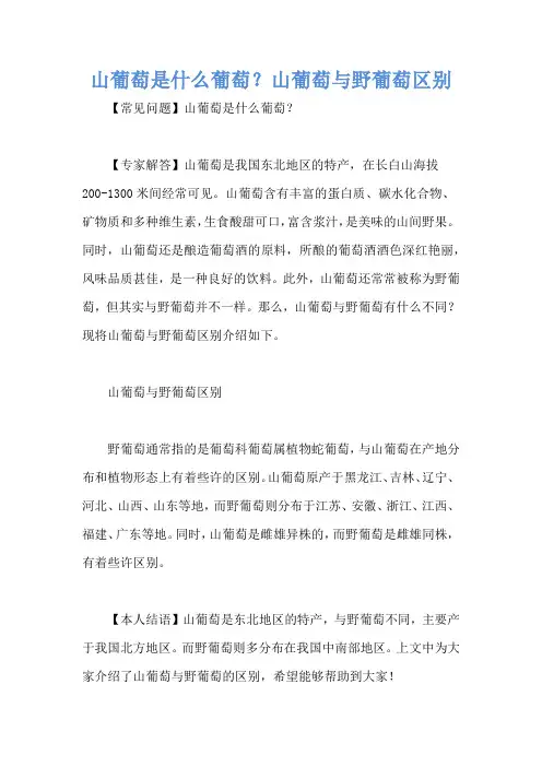 山葡萄是什么葡萄？山葡萄与野葡萄区别