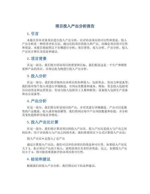 项目投入产出分析报告